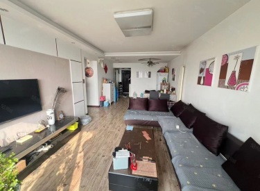 急售  有电梯  临地铁  采光好 供暖好  赠送家具家电  拎包入住 满5无税  小区绿化率高