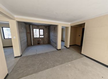 龙湖双珑原著 3室2厅2卫 清水