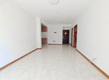 皇家海岸  电梯房三阳小户型 精装拎包即住