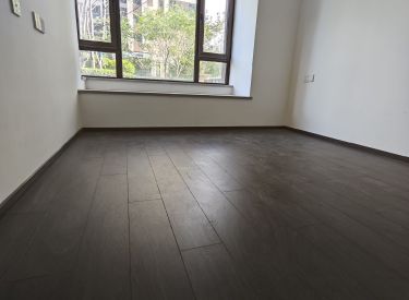 龙湖槿山 4室2厅2卫 精装