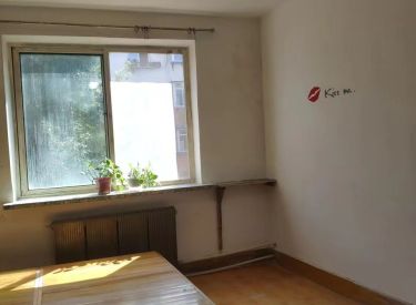 铁路小区(沈河) 1室1厅1卫 简装