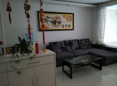 毕加索的树屋 1室1厅1卫 精装