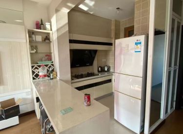 德商国际花园 1室1厅1卫 简装