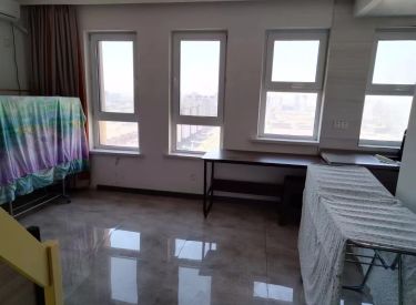 育才壹品 1室1厅1卫 精装