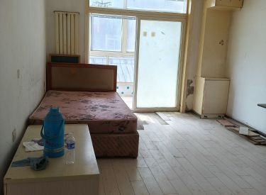 天顺家园 1室1厅1卫 简装