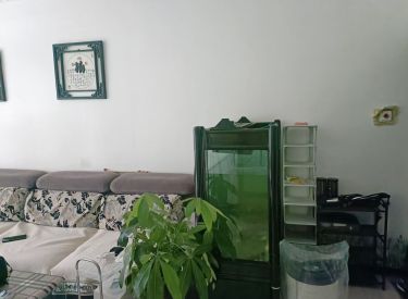 国际鑫城 2室1厅1卫 精装