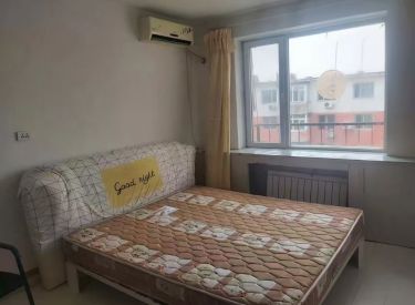 洪湖街小区 1室1厅1卫 简装