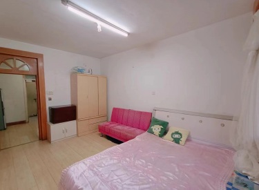 于洪南里小区 1室1厅1卫 简装