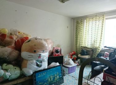 和美家园 1室1厅1卫 清水