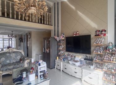 方大御府 4室3厅2卫 精装