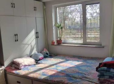 刘尔家园 1室1厅1卫 精装