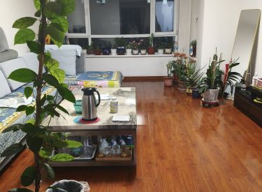 府梓里居 2室1厅1卫 简装