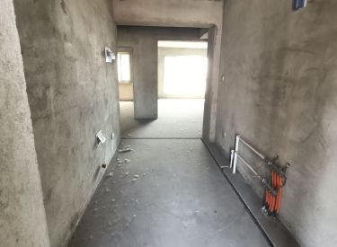 中环天地 2室2厅1卫 清水