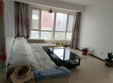 国际鑫城 2室2厅1卫 精装