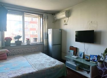 刘尔家园 1室1厅1卫 简装