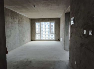 中金江山阅 2室1厅1卫 清水