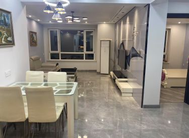 德商春天里 2室2厅1卫 豪华装修