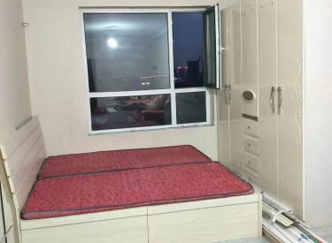 亿丰中心 1室1厅1卫 精装