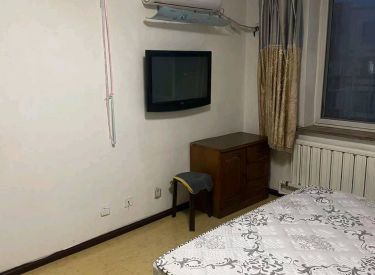 刘尔家园 1室1厅1卫 精装