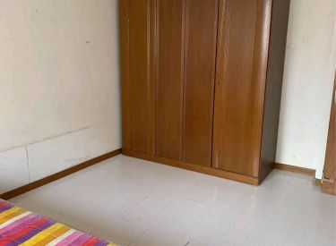 大南小区 1室1厅1卫 精装
