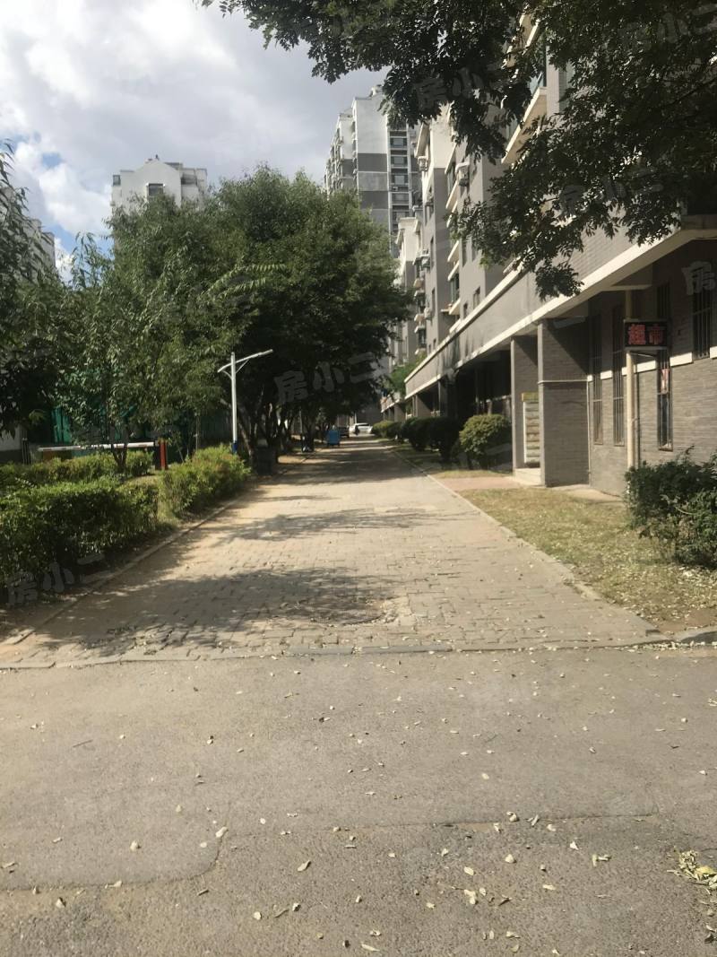 水调歌城B区园区图片