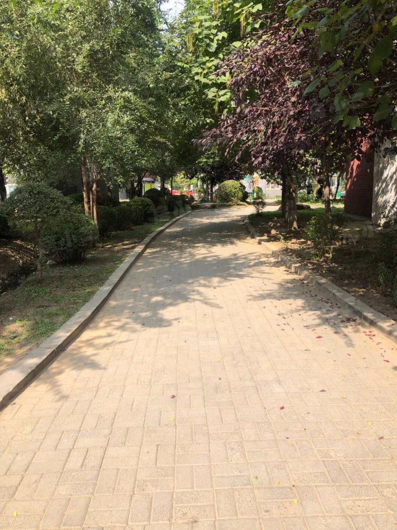 香树湾园区图片