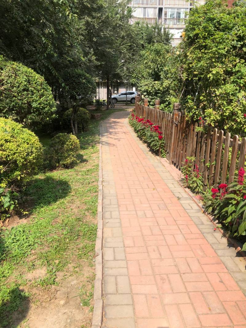 香树湾园区图片
