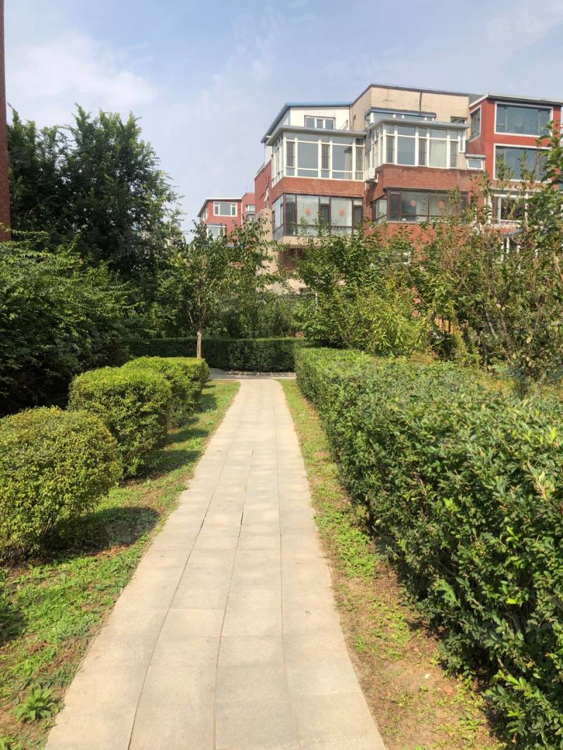 香树湾园区图片