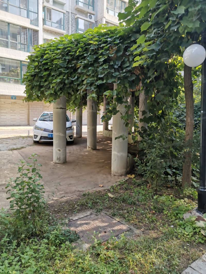 君临天下一期园区图片