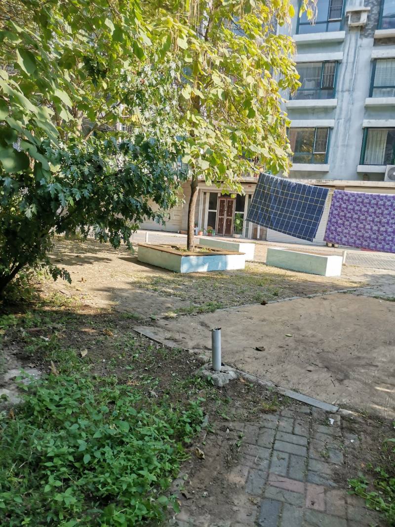 君临天下一期园区图片