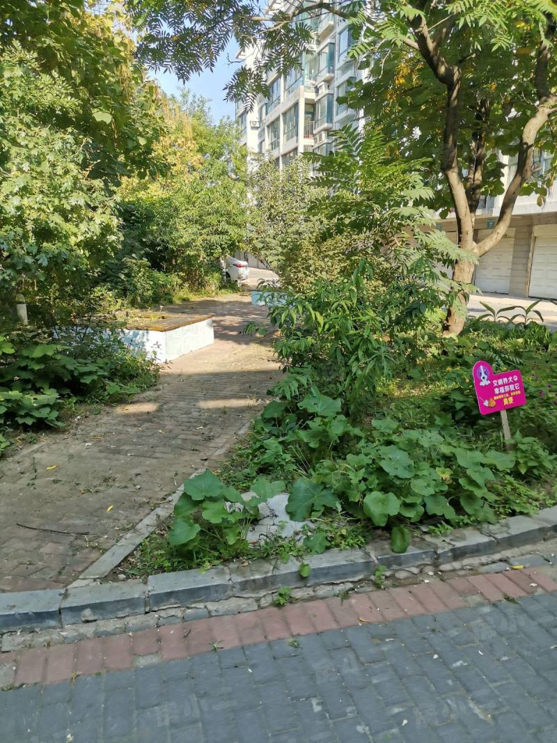 君临天下一期园区图片