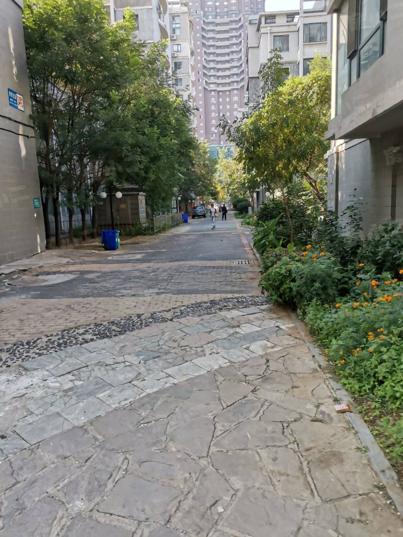 君临天下一期园区图片