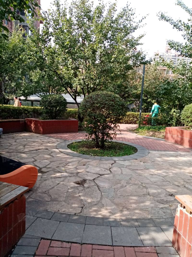 保利上林湾岸香园区图片