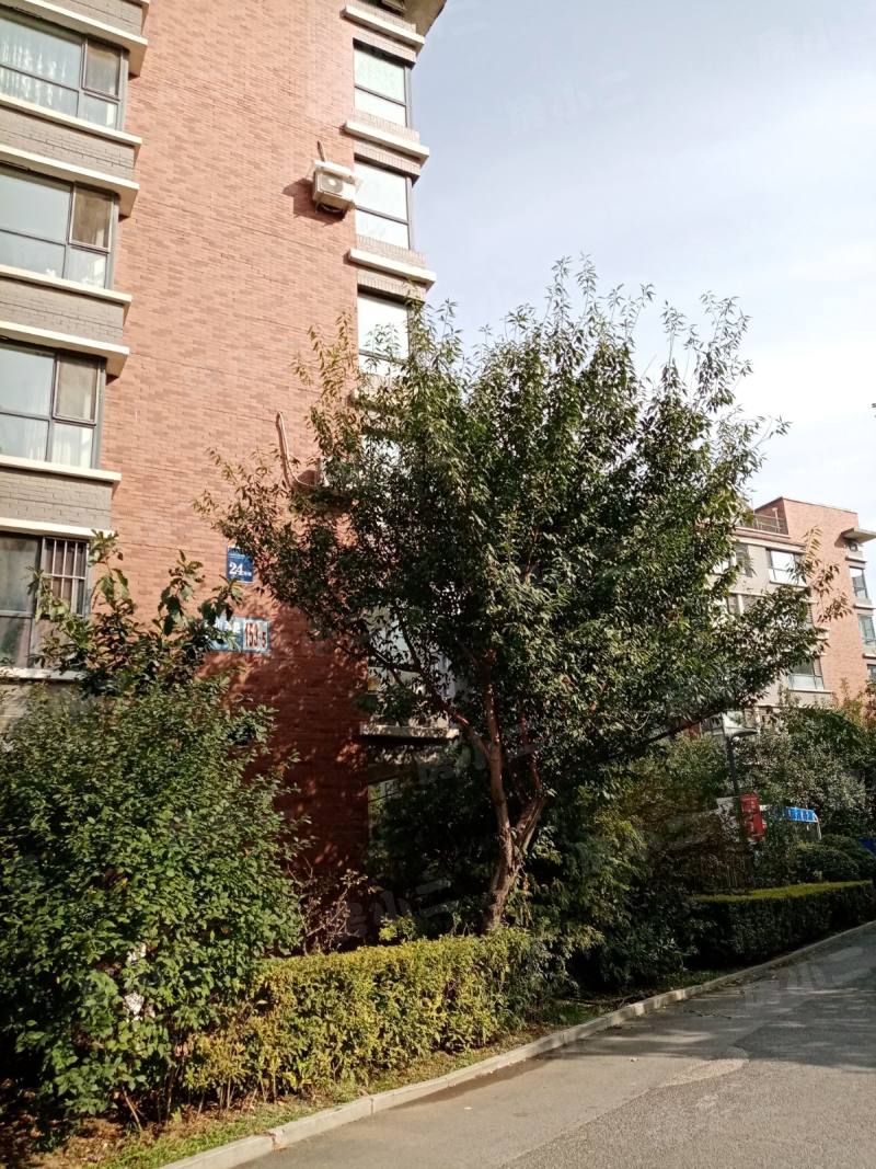 保利上林湾岸香园区图片