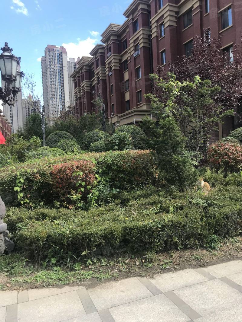 益格清水湾园区图片