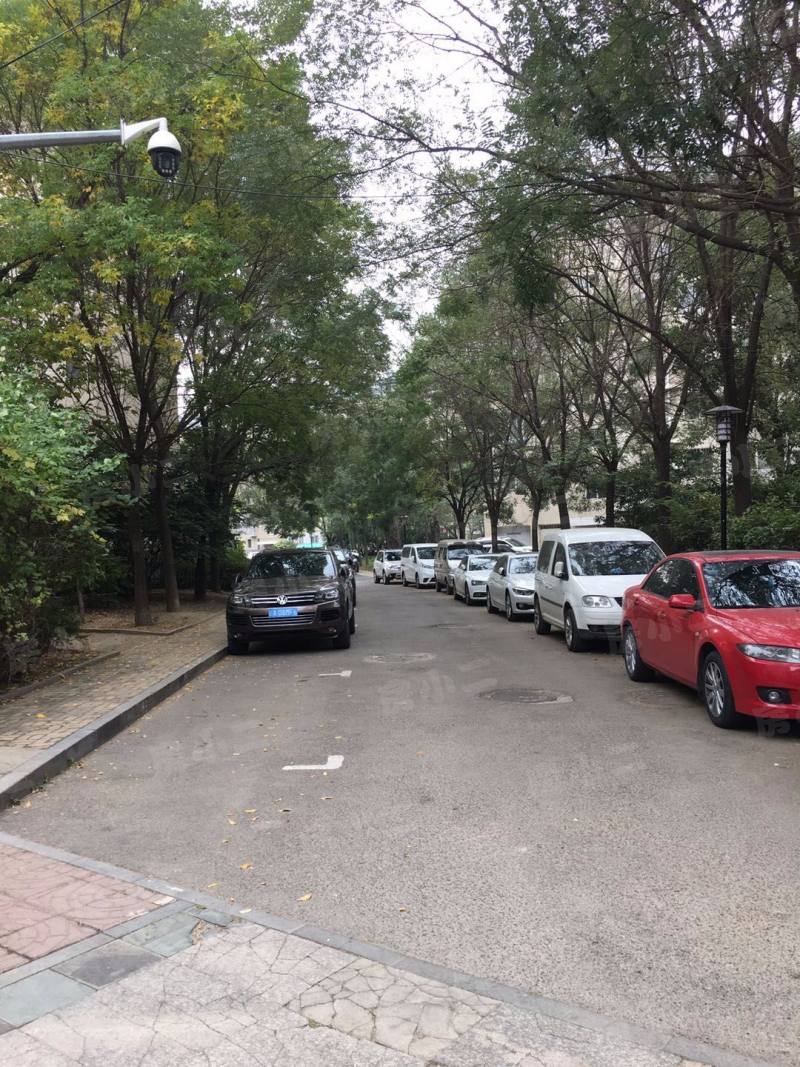 林韵春天园区图片