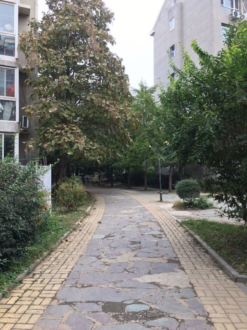 林韵春天园区图片