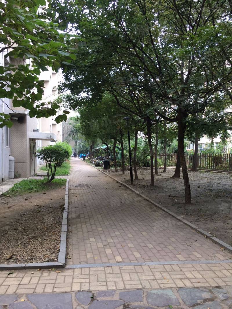 林韵春天园区图片
