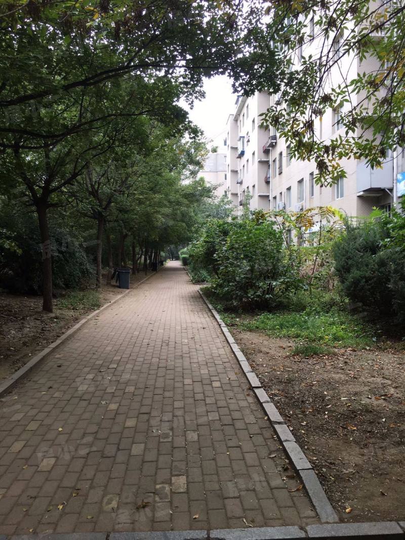 林韵春天园区图片