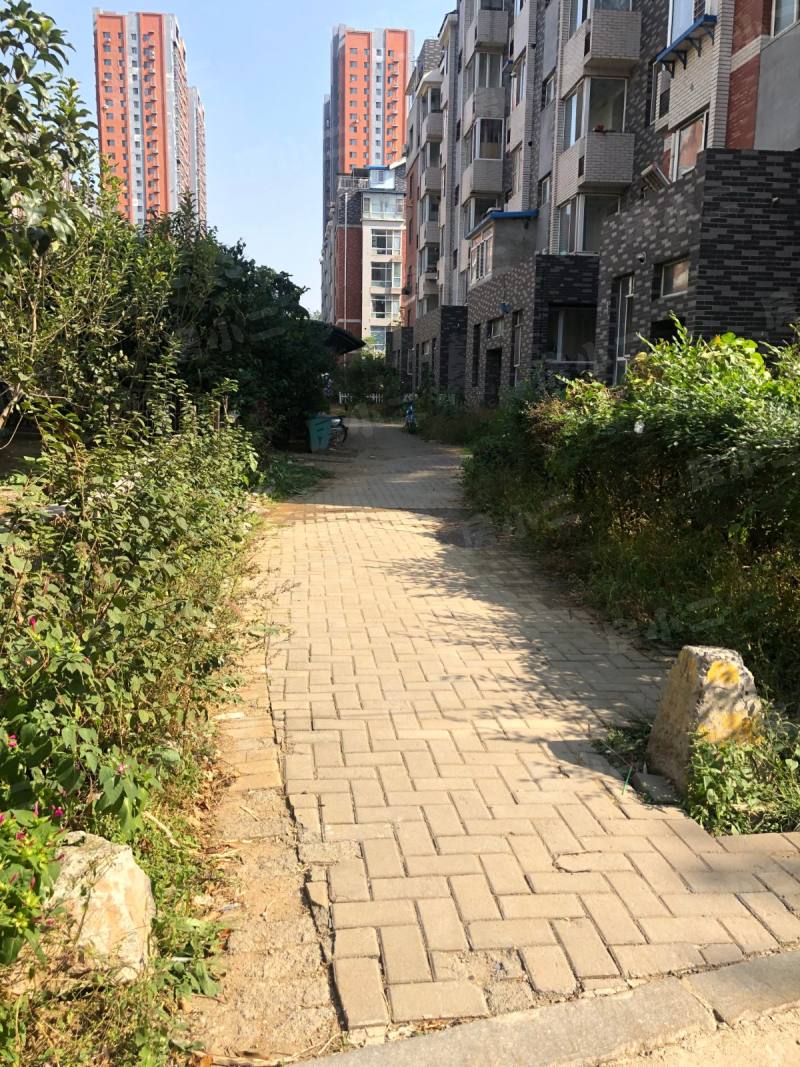 北美家园一二期园区图片