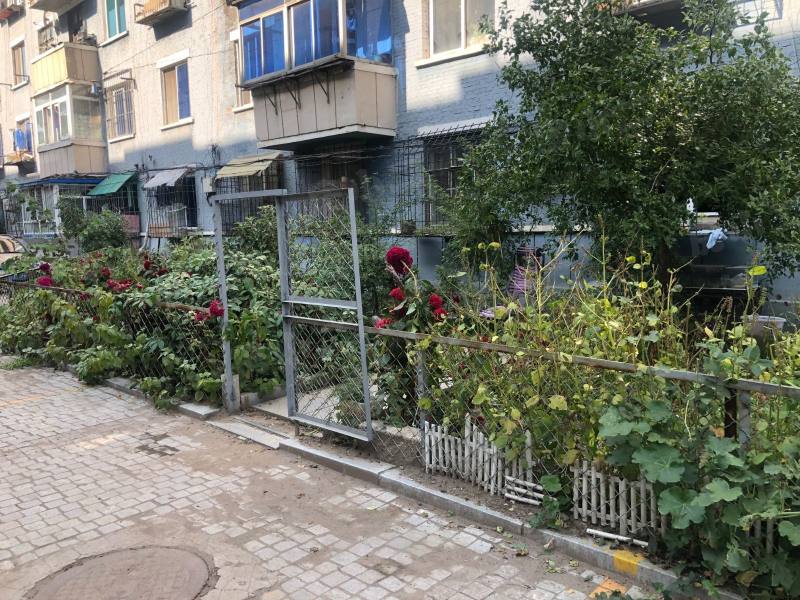 引水社区园区图片