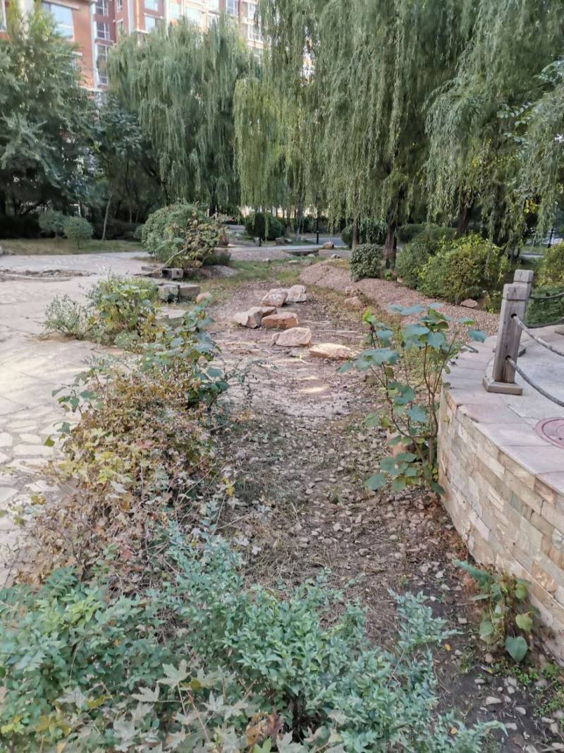 第一城西区园区图片