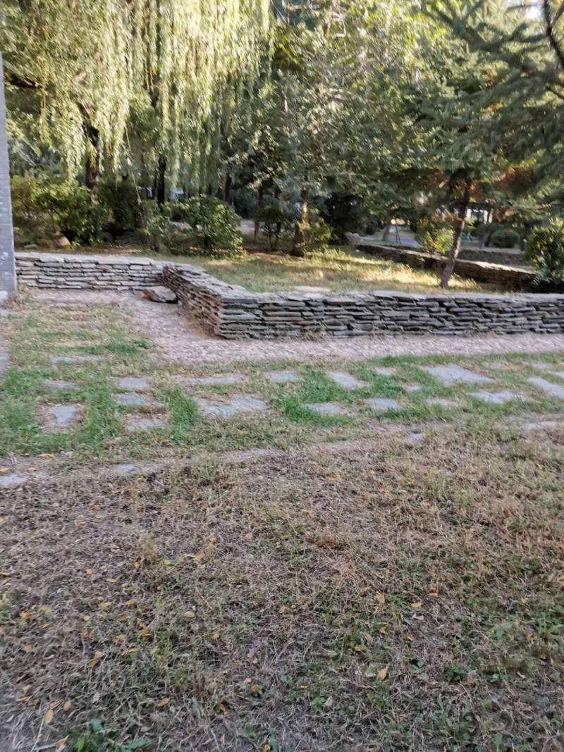 第一城西区园区图片