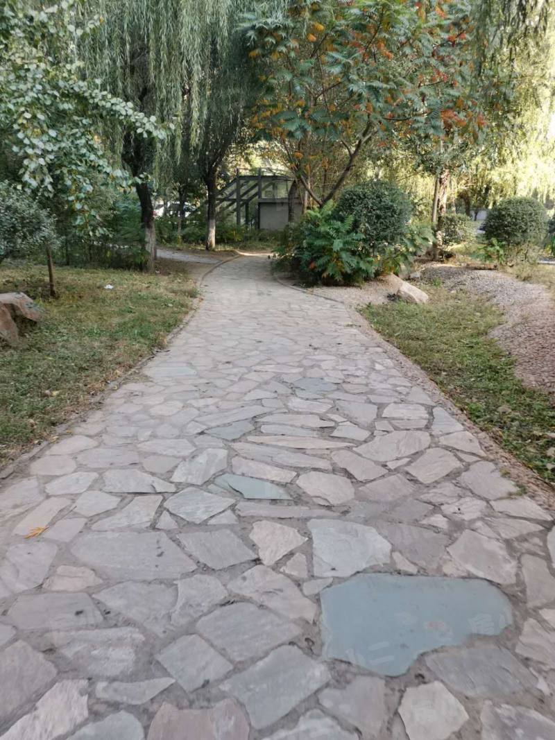 第一城西区园区图片