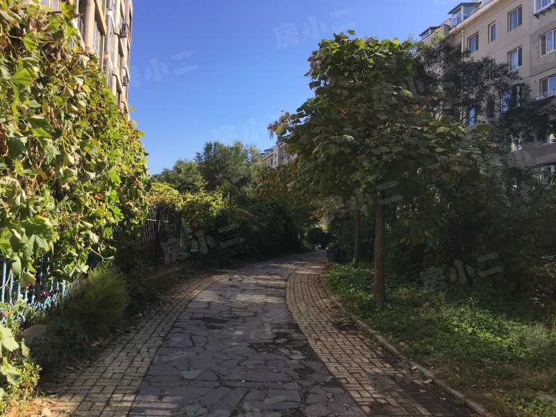 林韵春天园区图片