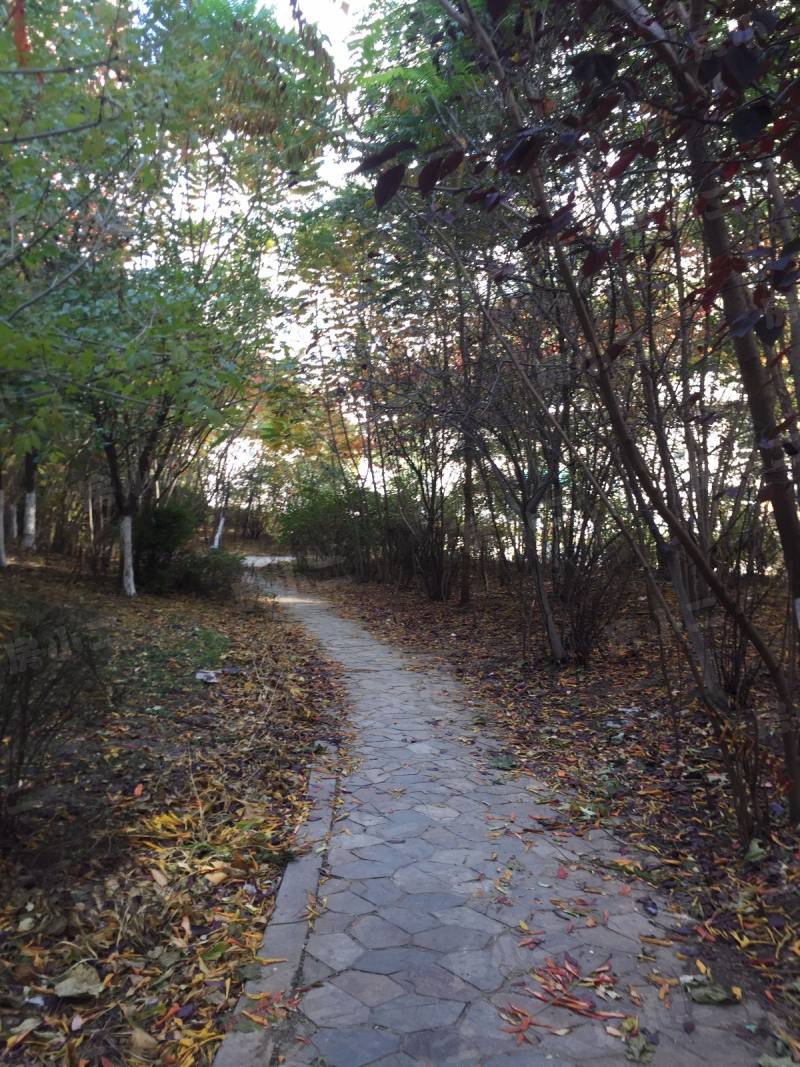 城建北尚园区图片