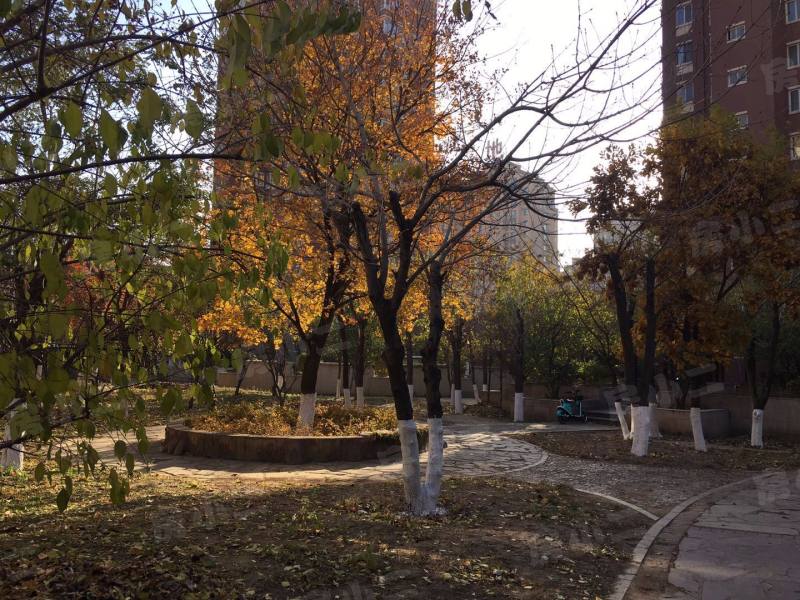 巧克力城园区图片