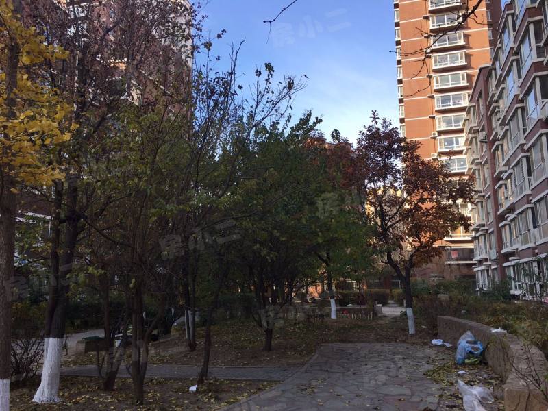 巧克力城园区图片