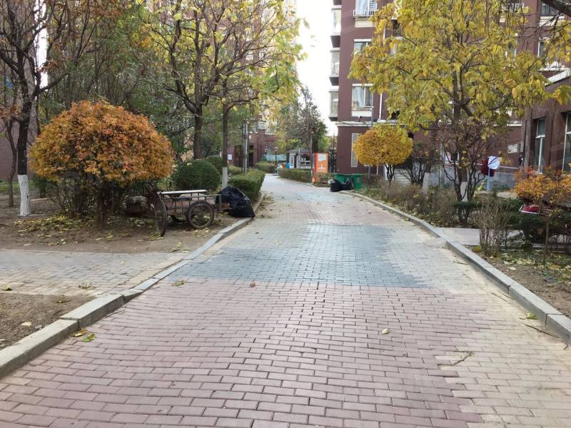 巧克力城园区图片