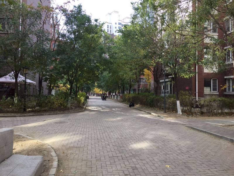 巧克力城园区图片